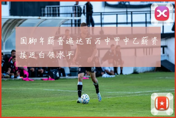 国脚年薪普遍达百万中甲中乙薪资接近白领水平