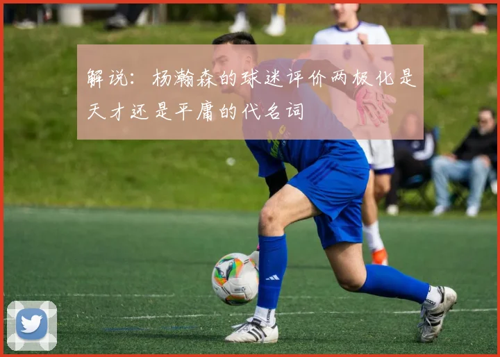 解说：杨瀚森的球迷评价两极化是天才还是平庸的代名词