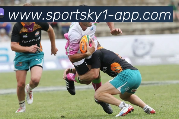 开云体育平台生态图