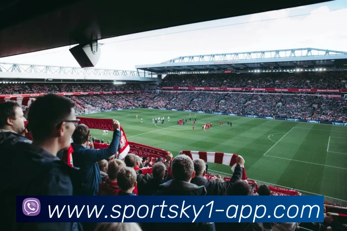 开云体育APP 封面图