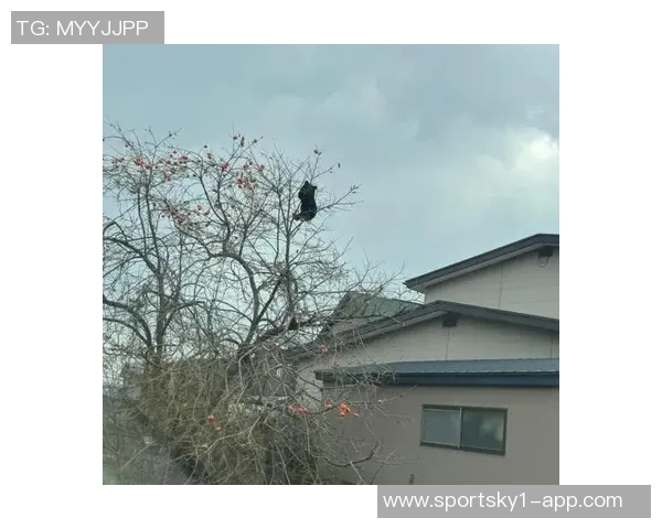 熊类踪迹现身草坪日本J3福岛联决定暂停球迷参观活动